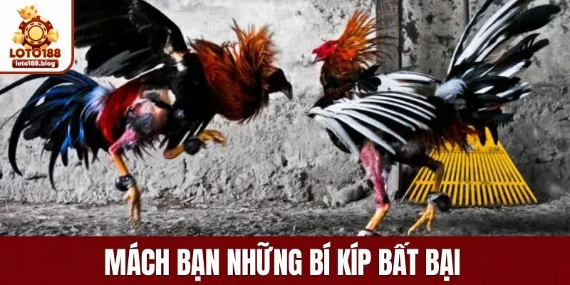 Mách bạn những bí kíp bất bại
